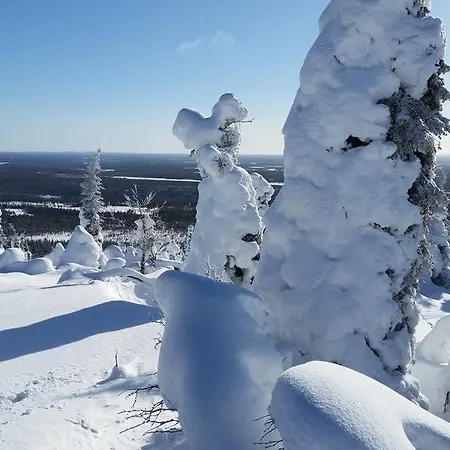Huvilat Hakojarvi Log Ruka
